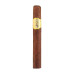 Rocky Patel Seed to Smoke Classic Maduro Toro 10-pack